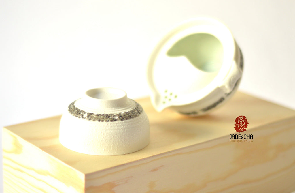 Snow Porcelain Travel Kit