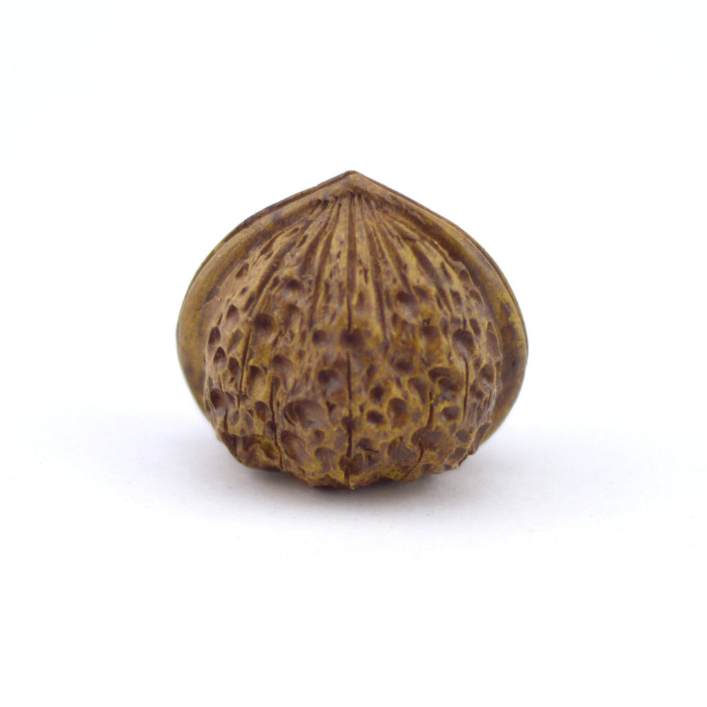 Tea Pet - Walnut Shape Small Size