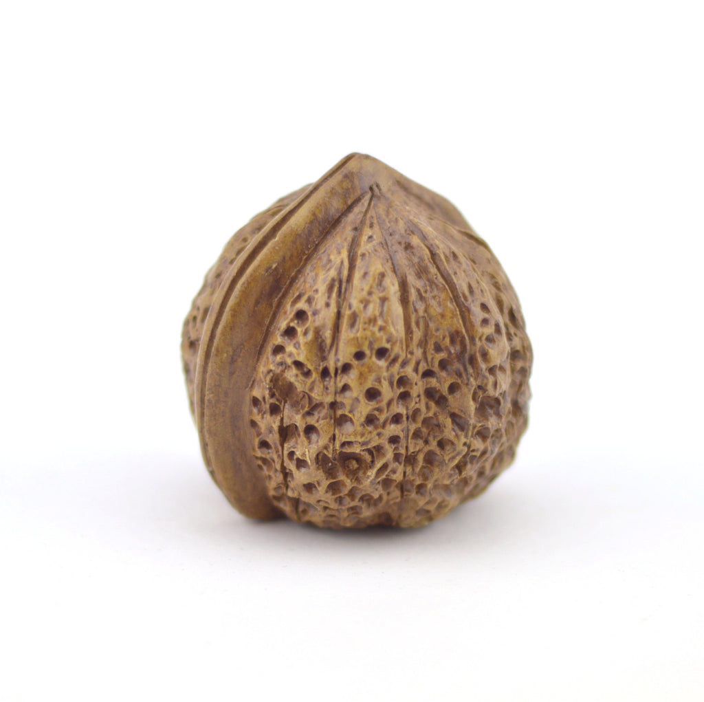 Tea Pet  - Walnut Shape Big Size