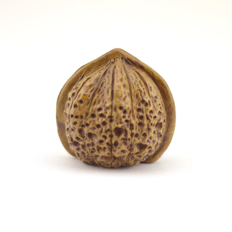 Tea Pet  - Walnut Shape Big Size