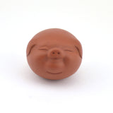 Tea Pet - Red Lucky Pig